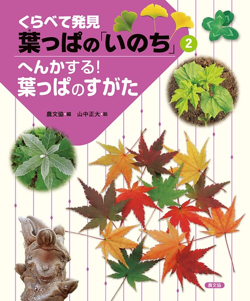 くらべて発見 葉っぱの「いのち」 へんかする！葉っぱのすがた