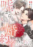 嘘からはじまる婚約者〜君と甘いロマンスをしよう〜【単行本版/描き下ろし特典付き】