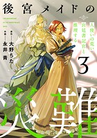後宮メイドの災難〜人使いの荒い宮廷書記官と推理する〜【電子単行本版】 3