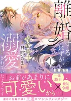 離婚するはずが、冷酷騎士の旦那さまに溺愛されていたようです【コミックス版/描き下ろし特典つき】 1