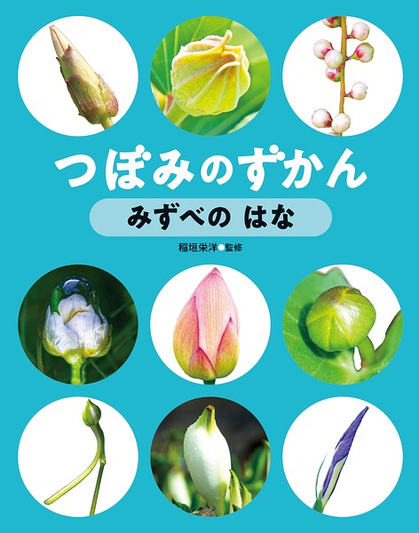 つぼみの ずかん