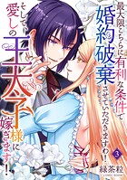 最大限こちらに有利な条件で婚約破棄させていただきますわ！そして、愛しの王太子様に嫁ぎます！ 3