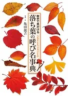 落ち葉の呼び名事典 散歩で見かける