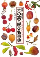 木の実の呼び名事典 散歩で見かける