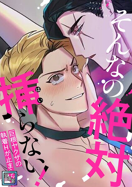 そんなの絶対挿（はい）らない！〜巨根ヤクザの執着Hが止まらない【全年齢版】（13）