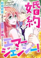婚約エマージェンシー！〜結婚前夜に見知らぬイケメンに求婚されました！？（19）