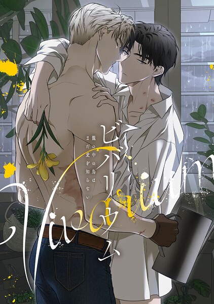 ビバリウム〜籠の中の鳥はまだ愛を知らない（13） フルカラー