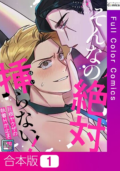 そんなの絶対挿（はい）らない！〜巨根ヤクザの執着Hが止まらない【全年齢版】【合本版】1巻