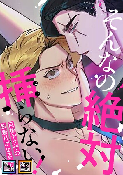 そんなの絶対挿（はい）らない！〜巨根ヤクザの執着Hが止まらない【全年齢版】【タテヨミ】
