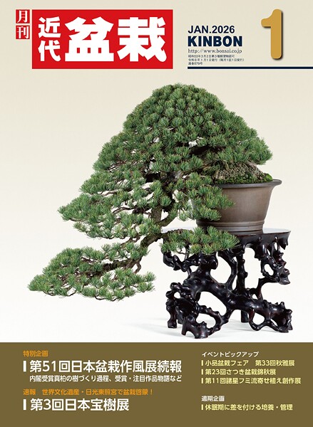 近代盆栽2026年1月号