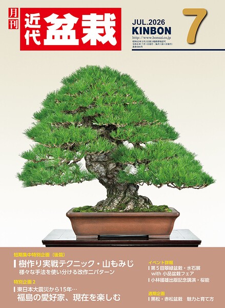 近代盆栽2026年7月号