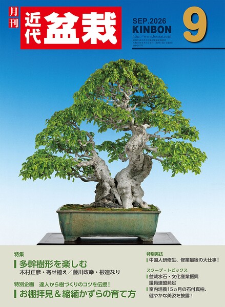 近代盆栽2026年9月号