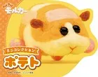 PUI PUI モルカー ミニコレクション