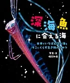 深海魚に会える海