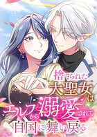 捨てられた大聖女はエルフから溺愛されて自国に舞い戻る（17） 第17話
