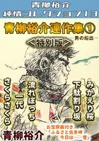 青柳裕介連作集＜特別版＞・青柳裕介純情コレクション13