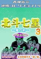 北斗七星3〜嵐の前〜＜特別版＞・青柳裕介純情コレクション14
