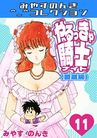 やるっきゃ騎士＜愛蔵版＞・みやすのんきコレクション 11