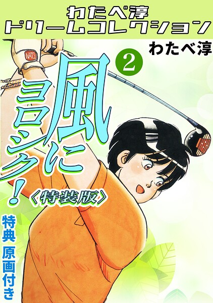 風にヨロシク！2＜特典原画付き特装版＞・わたべ淳ドリームコレクション