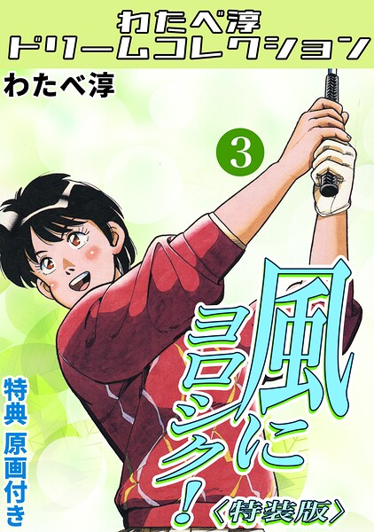 風にヨロシク！3＜特典原画付き特装版＞・わたべ淳ドリームコレクション