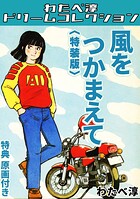 風をつかまえて＜特典原画付き特装版＞・わたべ淳ドリームコレクション 1
