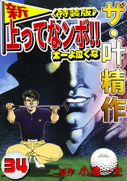 ザ・叶精作 新・上ってなンボ！！太一よ泣くな34＜特装版＞