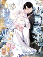 黒の精霊騎士と銀の精霊姫〜不遇の精霊姫は憂いの騎士団長に溺愛される〜 1