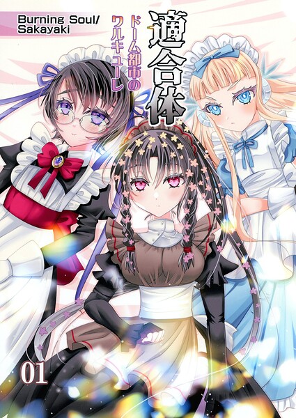 適合体（単話）