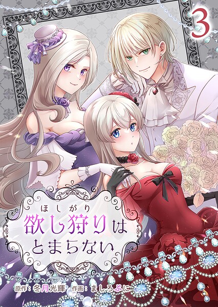 欲し狩りはとまらない 3