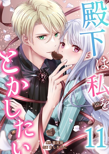 殿下は私をとかしたい 11