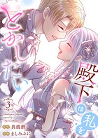 殿下は私をとかしたい【電子限定特典付き】 3