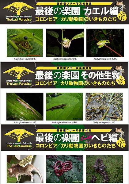 最後の楽園〜コロンビア/カリ動物園のいきものたち