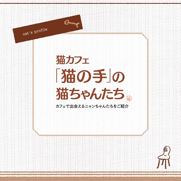 猫カフェ〜「猫の手」の猫ちゃんたち